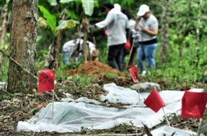 Madres de familia del Colectivo Solecito han localizado cientos de restos humanos en fosas clandestinas.