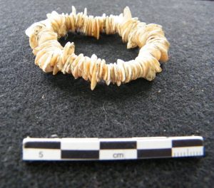conchasycaracolesdelsediero_arqueologíainah (4)