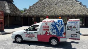 David Rodríguez, de la agrupación Ambulancias de Rescate Animal, considera como alarmante la insensibilidad respecto de los animales que existe en el estado.