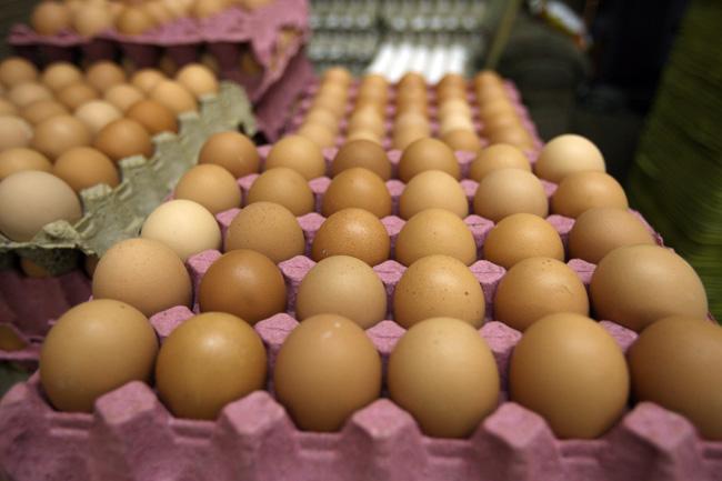 huevos