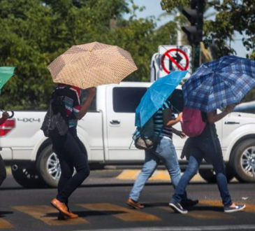 La semana 25 del año en curso, hasta el 24 de junio, Sonora acumuló un total de 106 casos de personas afectadas por calor, y 3 defunciones.