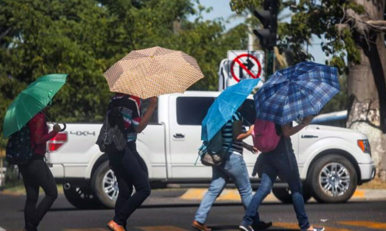 La semana 25 del año en curso, hasta el 24 de junio, Sonora acumuló un total de 106 casos de personas afectadas por calor, y 3 defunciones.