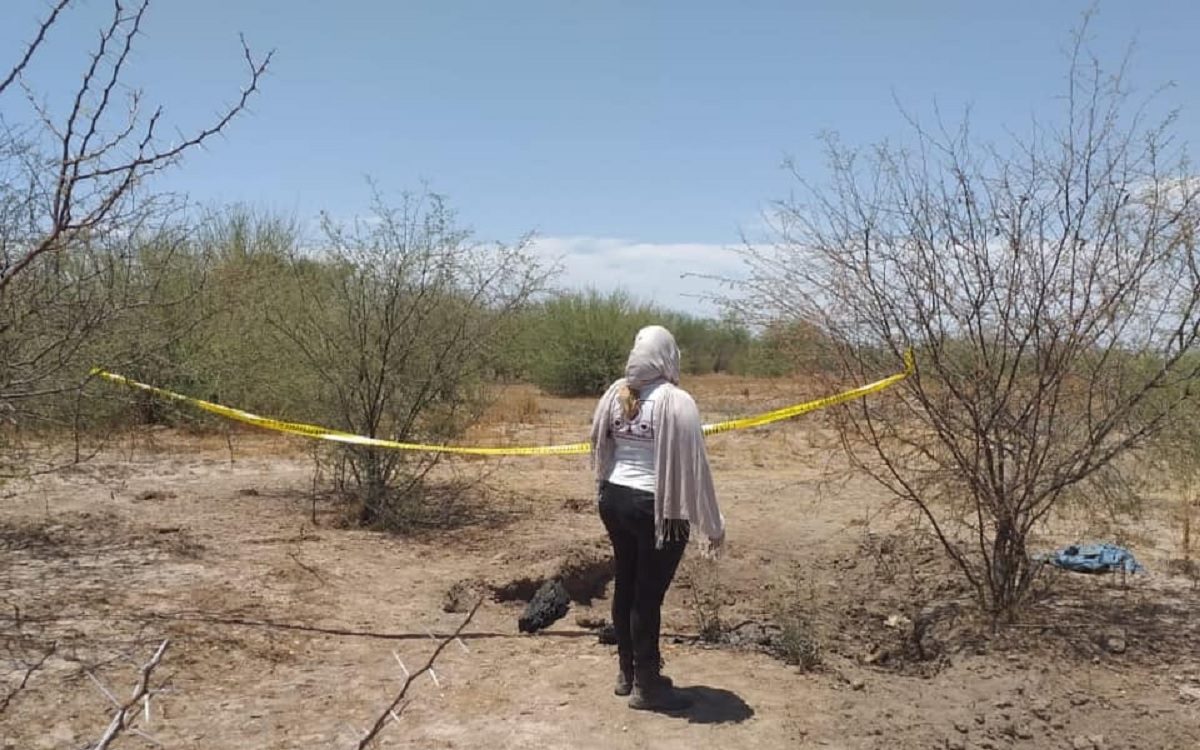 Al menos cinco cuerpos fueron halladas por los colectivos de búsqueda Guerreras buscadoras de Cajeme, Empalme y Guaymas en territorio yaqui.