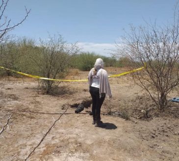 Al menos cinco cuerpos fueron halladas por los colectivos de búsqueda Guerreras buscadoras de Cajeme, Empalme y Guaymas en territorio yaqui. 
