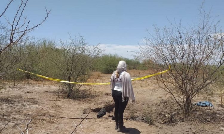Al menos cinco cuerpos fueron halladas por los colectivos de búsqueda Guerreras buscadoras de Cajeme, Empalme y Guaymas en territorio yaqui. 