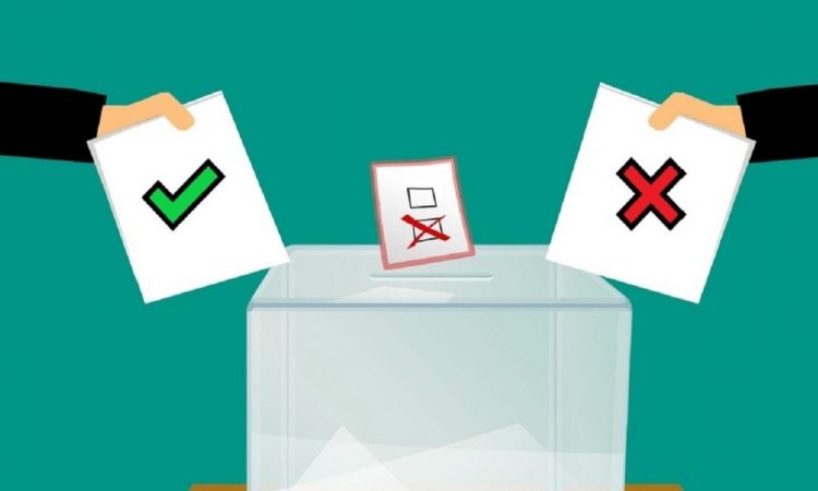 26 Democracia WEB