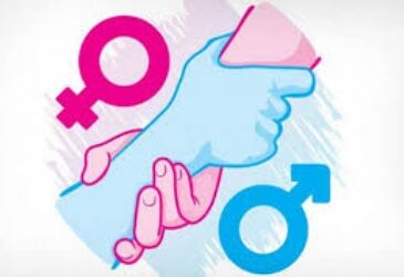 ¿Qué pasó con el presupuesto con perspectiva de género?