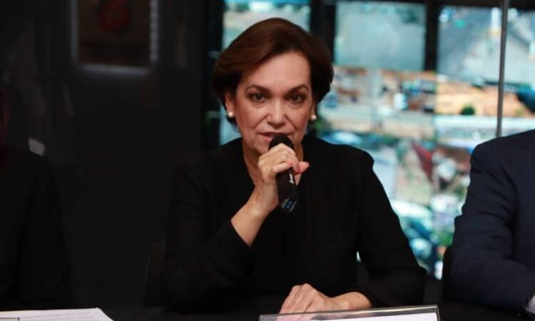 María Dolores Del Rio, secretaria de Seguridad Pública