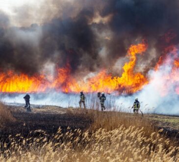 Incendio en Álamos