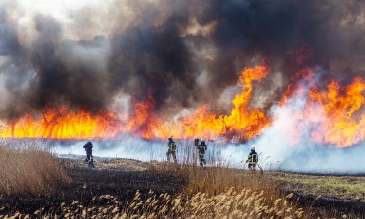 Incendio en Álamos