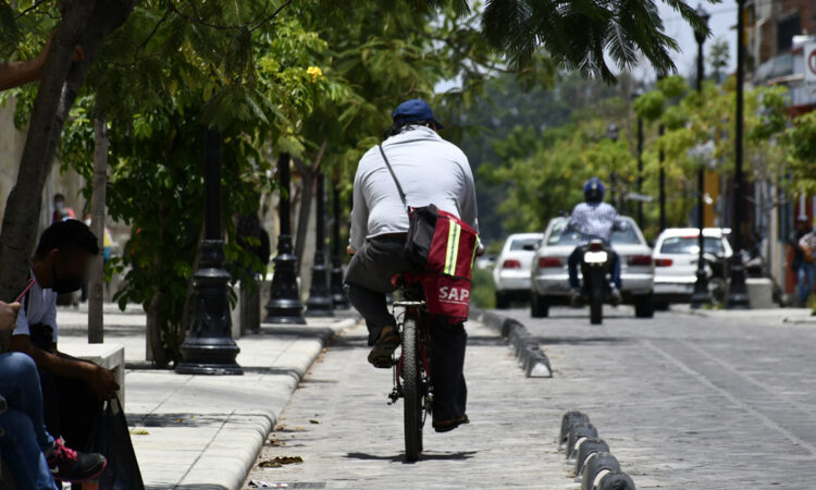 Ley de movilidad