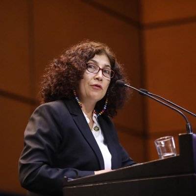 legisladora Judith Celina Tánori Córdova.
