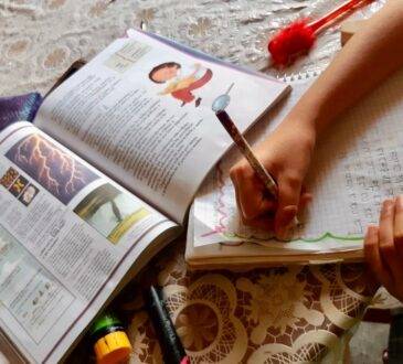 Especialistas en educación alertan que existe un intento de imponer un modelo educativo con tintes autoritarios.