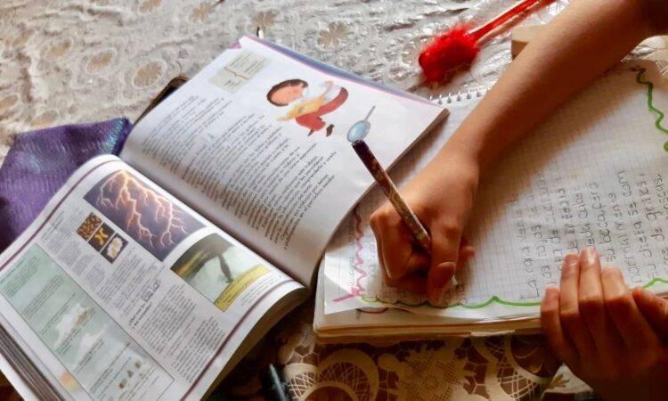 Especialistas en educación alertan que existe un intento de imponer un modelo educativo con tintes autoritarios.