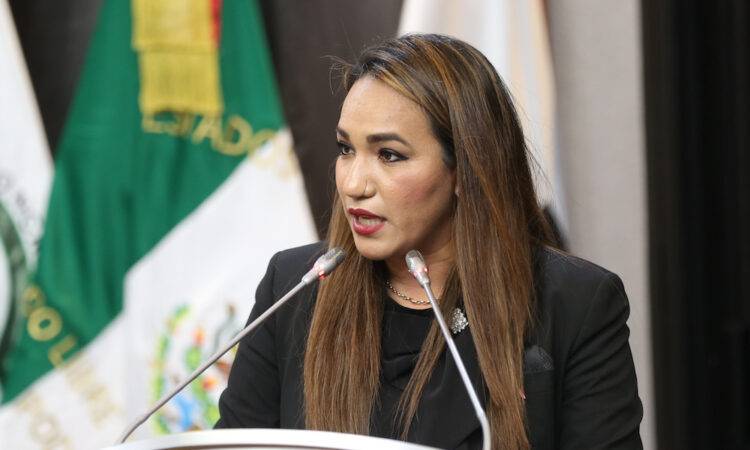Diputada Claudia Bours, presidenta de la Comisión de Movilidad en el Congreso.