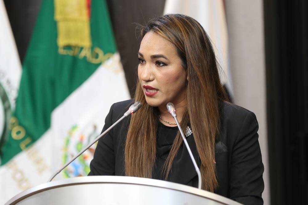 Diputada Claudia Bours, presidenta de la Comisión de Movilidad en el Congreso.