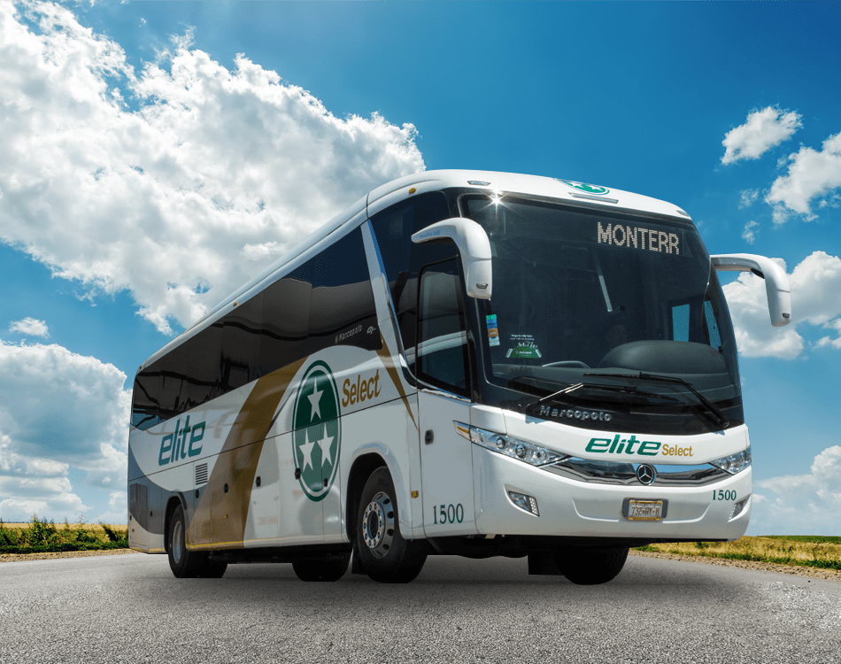 Dos empleados de la empresa de transportes “Elite” fueron vinculadas a proceso por el delito de tráfico de personas y otros dos individuos