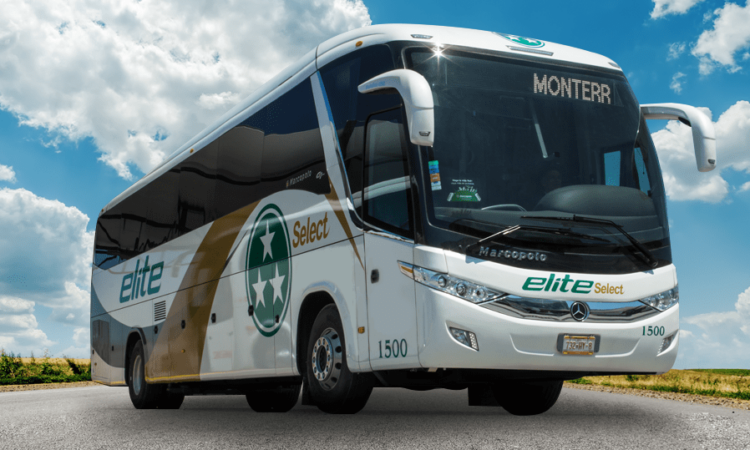 Dos empleados de la empresa de transportes “Elite” fueron vinculadas a proceso por el delito de tráfico de personas y otros dos individuos