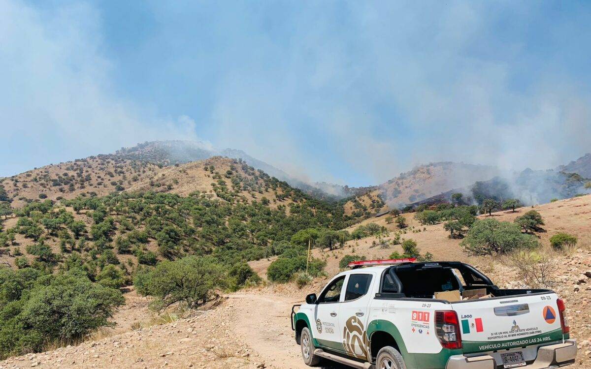 Protección Civil informó que en estos momentos hay dos incendios forestales más activos en Sonora en Nogales y otro en Moctezuma.
