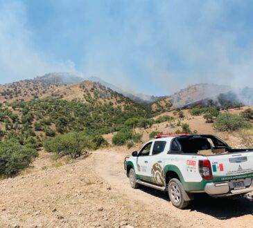 Protección Civil informó que en estos momentos hay dos incendios forestales más activos en Sonora en Nogales y otro en Moctezuma.