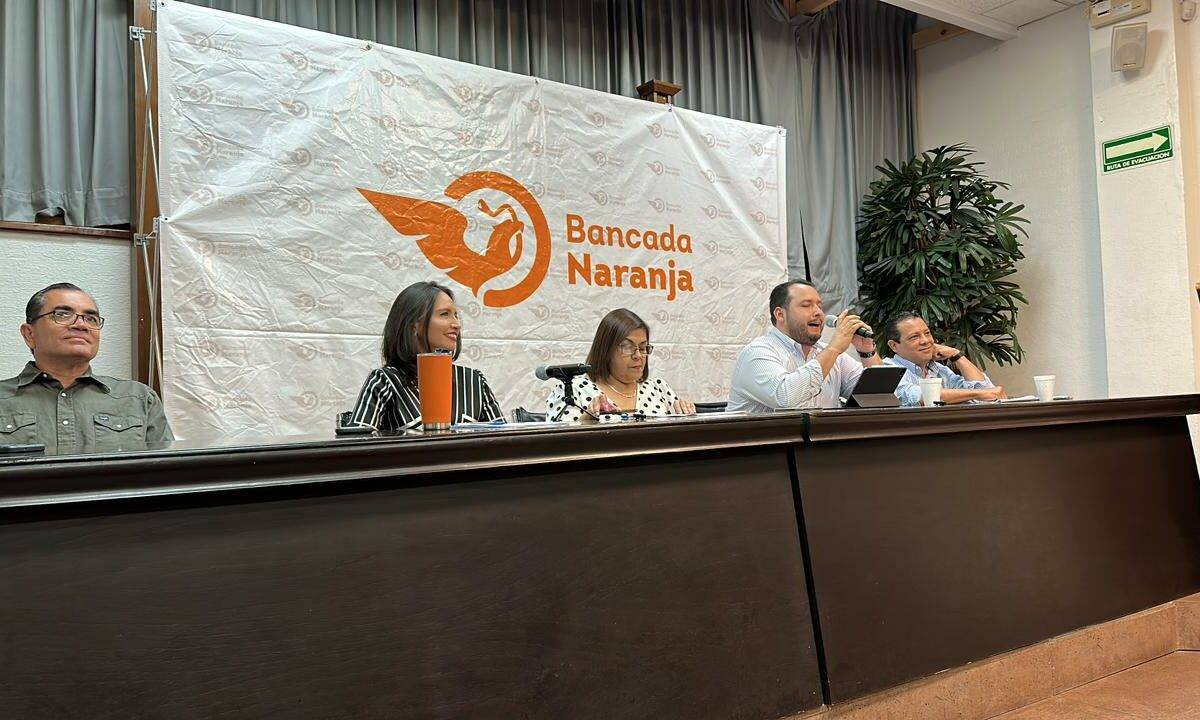 Diputados de Movimiento Ciudadano denunciaron irregularidades en el proceso de designación del ISTAI así como intromisión por parte del Congreso del Estado.