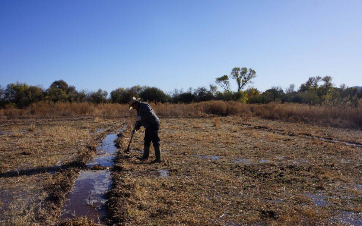 Los Comités de Cuenca lanzaron un comunicado donde aseguran que no se ha cumplido con una con una verdadera remediación del daño causado