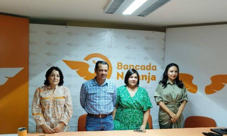 Bancada de MC en Sonora