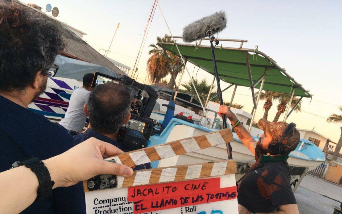 Documental que busca impactar en la percepción de Bahía de Kino y aumentar la visibilidad de la protección de las tortugas de la región