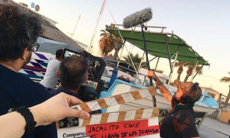 Documental que busca impactar en la percepción de Bahía de Kino y aumentar la visibilidad de la protección de las tortugas de la región