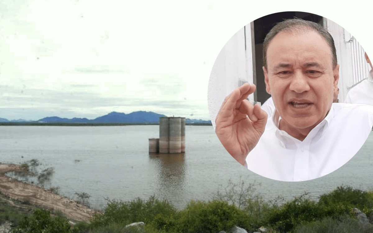 Han opinado expertos como José Luis Jardines y César Lagarda, llegando a la conclusión de que tal iniciativa no es una buena ide