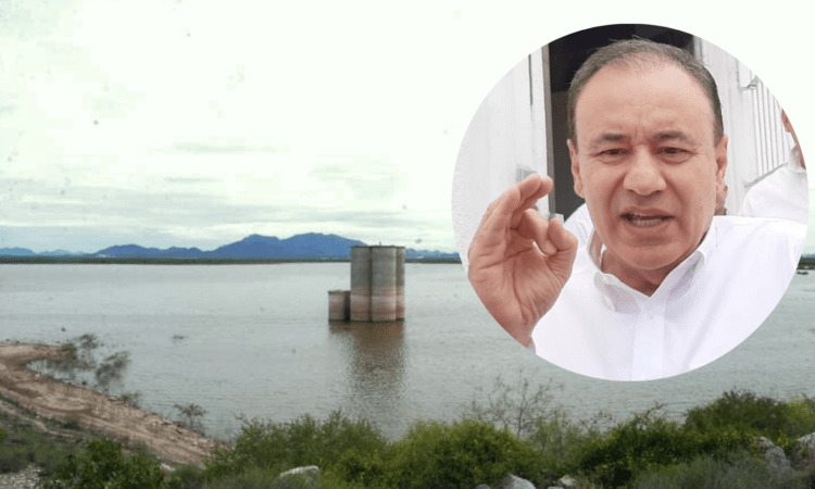 Han opinado expertos como José Luis Jardines y César Lagarda, llegando a la conclusión de que tal iniciativa no es una buena ide