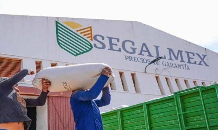 Es el mayor caso de corrupción de este sexenio que se ha documentado hasta el momento; la FGR ha iniciado más de 20 carpetas de investigación