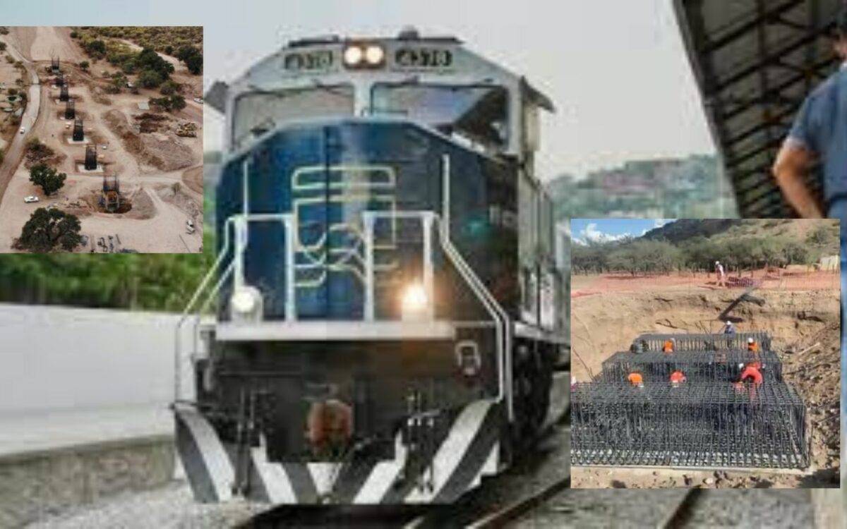 Activistas aseguran que el oso negro, el jaguar, el ocelote, el tejón americano, el águila real, gavilanes, serpientes y peses serán afectados