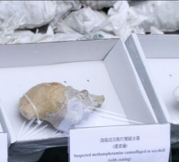 Sustancias ocultas en conchas de caracol con bolsas de #Segalmex con valor de más de 81.8 millones de dólares