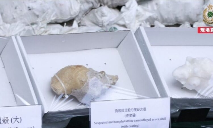 Sustancias ocultas en conchas de caracol con bolsas de #Segalmex con valor de más de 81.8 millones de dólares