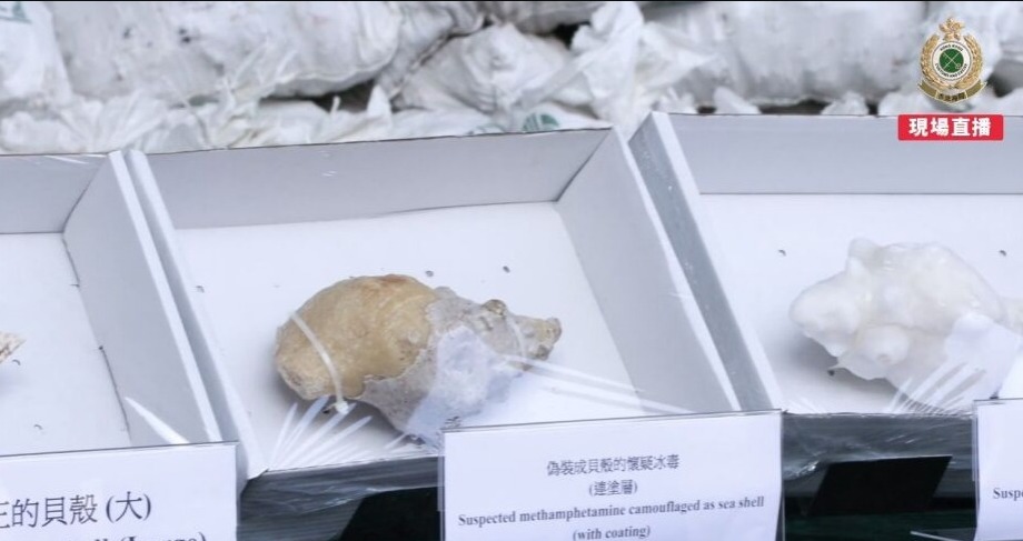 Sustancias ocultas en conchas de caracol con bolsas de #Segalmex con valor de más de 81.8 millones de dólares