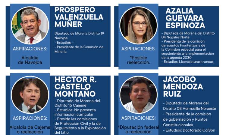 Más de la mitad de los diputados locales de Sonora buscarán “brincar” a otro cargo de elección popular el próximo año, o para ser reelectos.