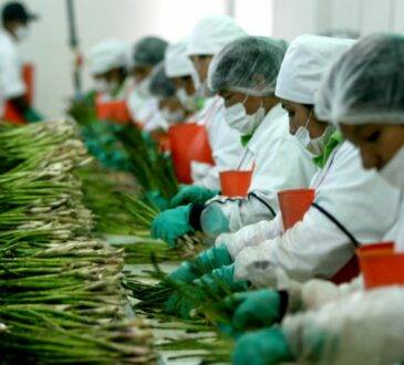 El estado se colocó como una de las cinco entidades con mayor aumento en el valor de sus exportaciones, como la participación dentro del sector agricultura