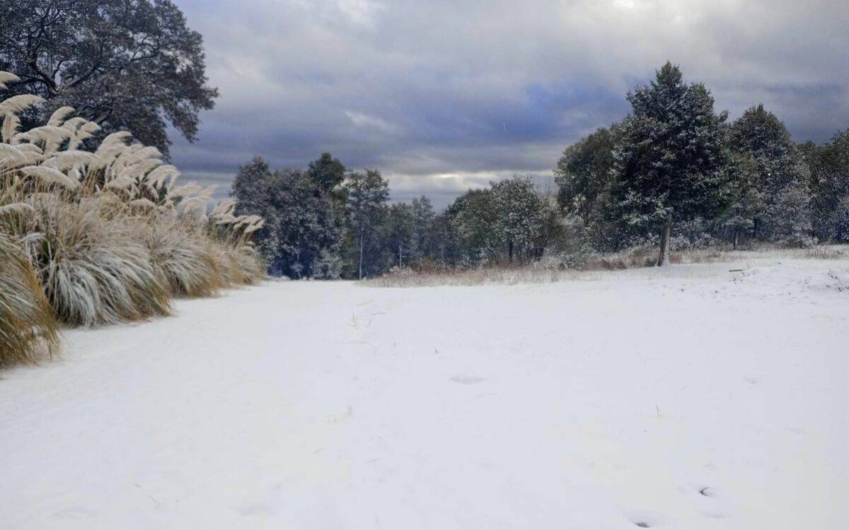 Vegetación congelada e indumentaria para cosecha envuelta en hielo, era lo que se observaba en los campos agrícolas de la costa de Hermosillo el pasado lunes