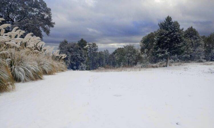 Vegetación congelada e indumentaria para cosecha envuelta en hielo, era lo que se observaba en los campos agrícolas de la costa de Hermosillo el pasado lunes