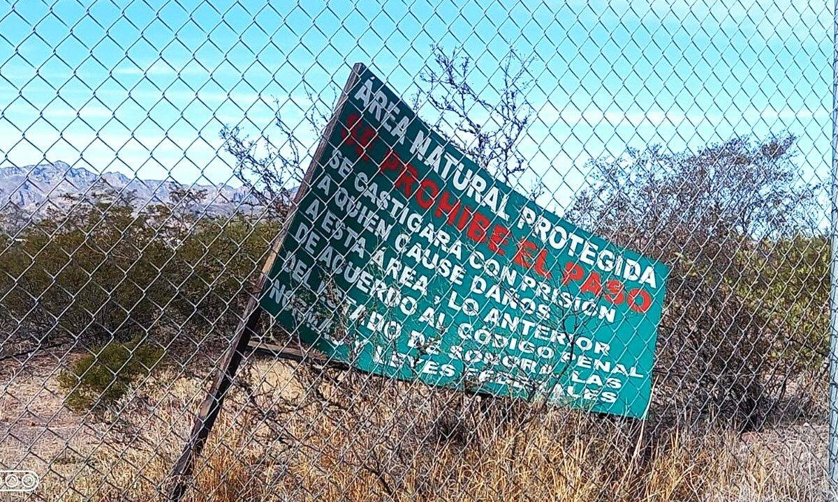 A pesar de su importancia ecológica y turística del estero el Gobierno de Sonora dejó al olvido esta joya natural hogar de cientos de especies