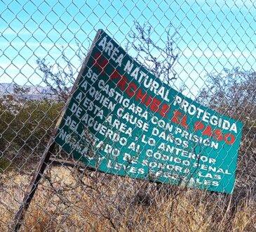 A pesar de su importancia ecológica y turística del estero el Gobierno de Sonora dejó al olvido esta joya natural hogar de cientos de especies