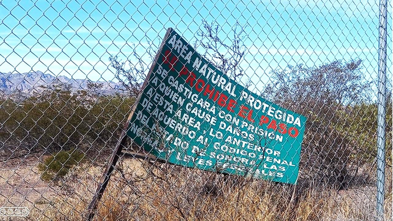 A pesar de su importancia ecológica y turística del estero el Gobierno de Sonora dejó al olvido esta joya natural hogar de cientos de especies