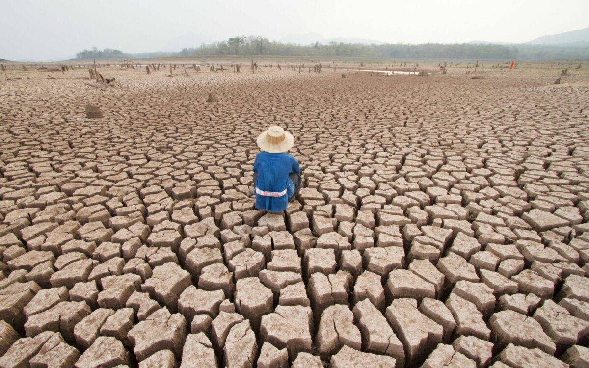  Las acciones de la humanidad están calentando la Tierra y el año pasado fue un mero anticipo del futuro catastrófico que nos espera si no actuamos ahora
