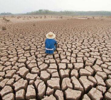  Las acciones de la humanidad están calentando la Tierra y el año pasado fue un mero anticipo del futuro catastrófico que nos espera si no actuamos ahora