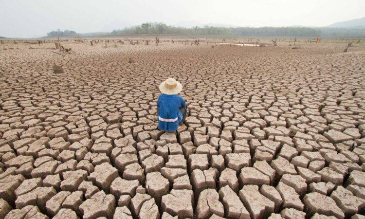  Las acciones de la humanidad están calentando la Tierra y el año pasado fue un mero anticipo del futuro catastrófico que nos espera si no actuamos ahora