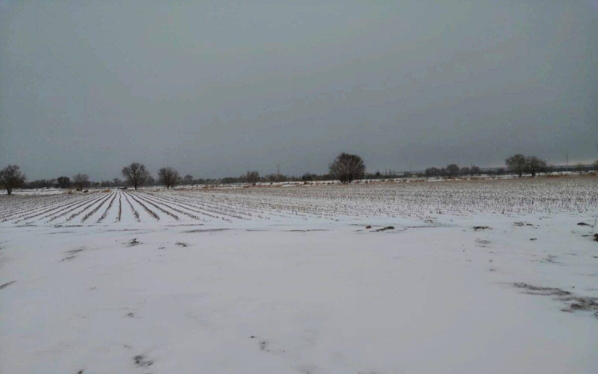 Frente frío número 24, provocó el cierre de las carreteras Ímuris-Cananea y puerto San Luis, tras el congelamiento del asfalto y caída de nieve en la sierra