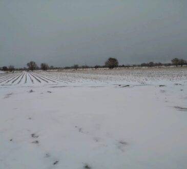 Frente frío número 24, provocó el cierre de las carreteras Ímuris-Cananea y puerto San Luis, tras el congelamiento del asfalto y caída de nieve en la sierra