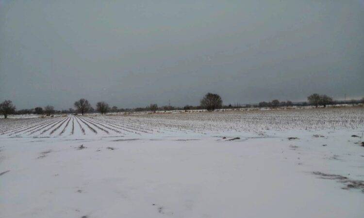 Frente frío número 24, provocó el cierre de las carreteras Ímuris-Cananea y puerto San Luis, tras el congelamiento del asfalto y caída de nieve en la sierra