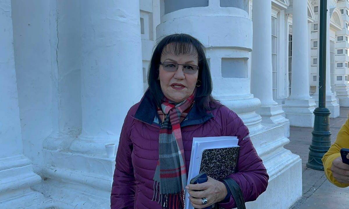 La titular de Sagarpa, detalló que es en campos agrícolas del sur y centro del estado donde registraron cosechas congeladas. 